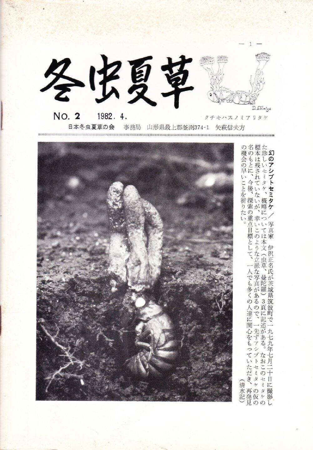 kaishi2