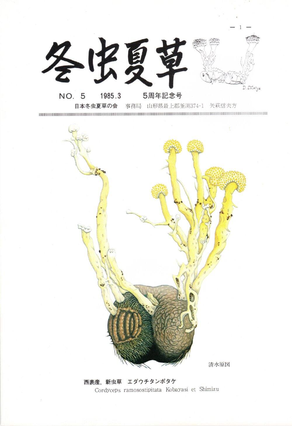kaishi5